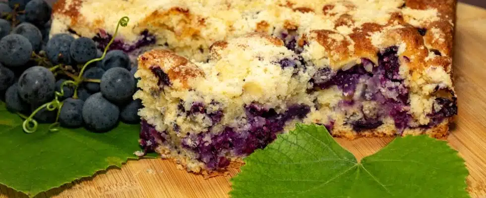 Bolo de uva preta, conhecido também como cuca de uva.